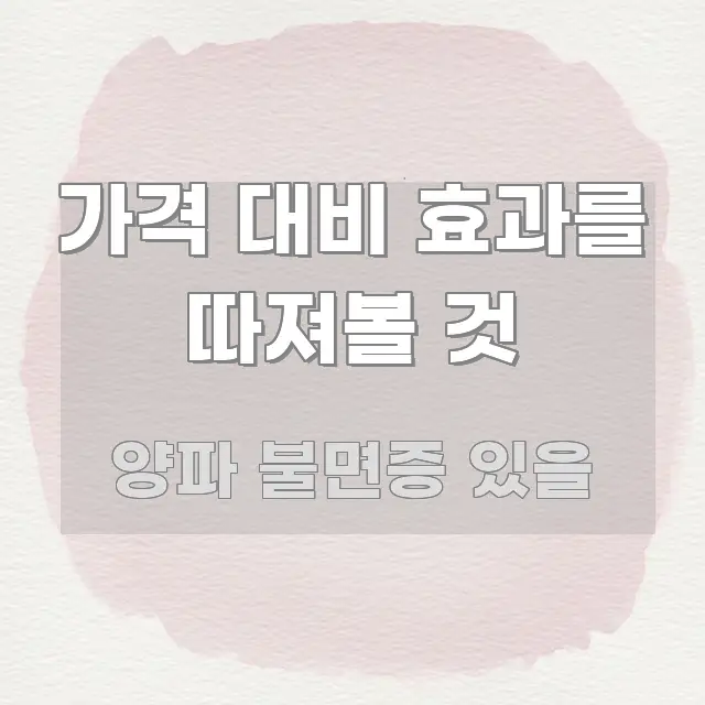 가격 대비 효과를 따져볼 것 핵심 요약 가격 대비 효과를 따져볼 것 빠르게 이해할 수 있는 정보 전달형 표지 이미지