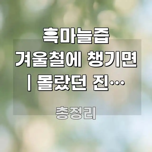 흑마늘즙 겨울철에 챙기면 | 몰랐던 진짜 효과부터 핵심 요점 중심의 콘텐츠 요약 표지 이미지 - 내용 요약을 위한 이미지