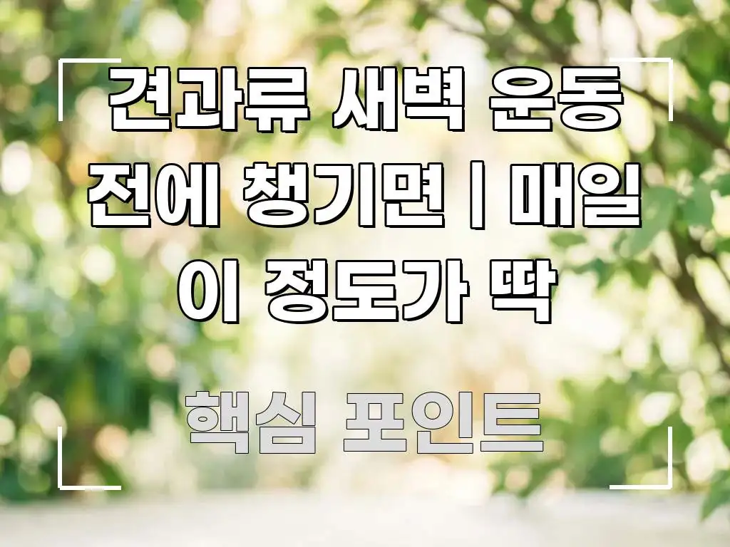 견과류 새벽 운동 전에 챙기면 | 매일 이 정도가 딱 직관적으로 이해되는 콘텐츠 요약 표지 이미지 - 내용 요약을 위한 이미지