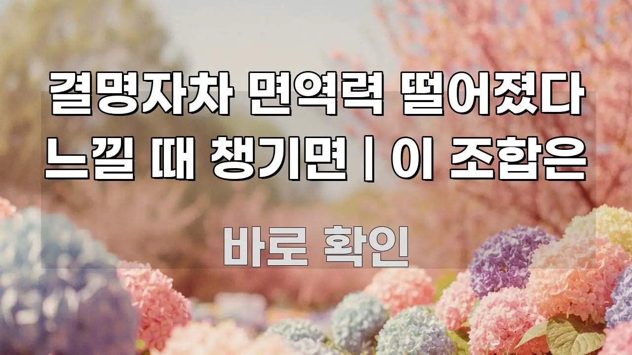 결명자차 면역력 떨어졌다 느낄 때 챙기면 | 이 조합은 빠르게 이해할 수 있는 블로그 대표 이미지 - 가독성을 높이는 이미지