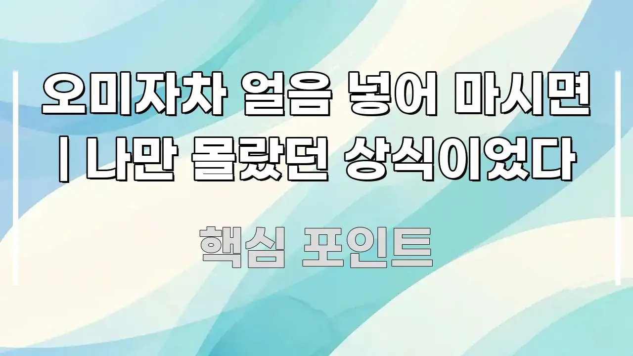 오미자차 얼음 넣어 마시면 | 나만 몰랐던 상식이었다 심플하고 명확하게 정리한 블로그 헤더 이미지 - 설명을 돕는 이미지