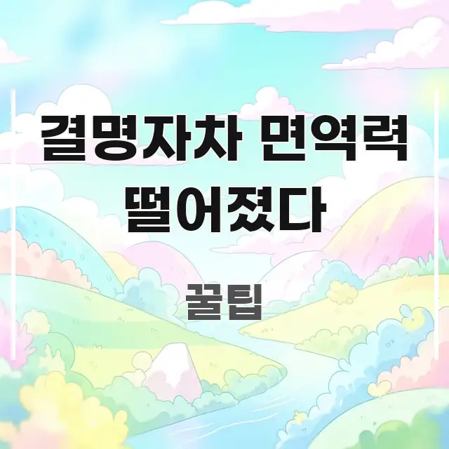 결명자차 면역력 떨어졌다 핵심만 담은 콘텐츠 요약 표지 이미지 - 설명을 돕는 이미지