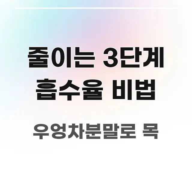 줄이는 3단계 흡수율 비법 실생활에 도움되는 미니멀 블로그 썸네일
