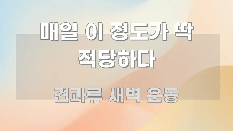 매일 이 정도가 딱 적당하다 핵심 요약 매일 이 정도가 딱 적당하다 바로 활용 가능한 텍스트 기반 블로그 이미지