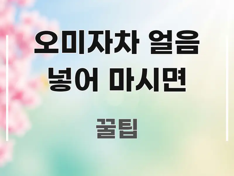 오미자차 얼음 넣어 마시면 정보 이미지 오미자차 얼음 넣어 마시면 주요 흐름을 설명한 핵심 요약 디자인 카드 - 설명을 돕는 이미지