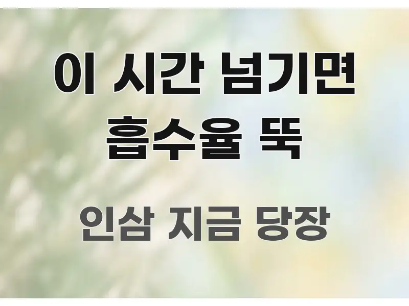 이 시간 넘기면 흡수율 뚝 핵심 요약 이 시간 넘기면 흡수율 뚝 깔끔하게 정리된 블로그 포스트 커버 이미지 - 본문 내용과 연관된 이미지