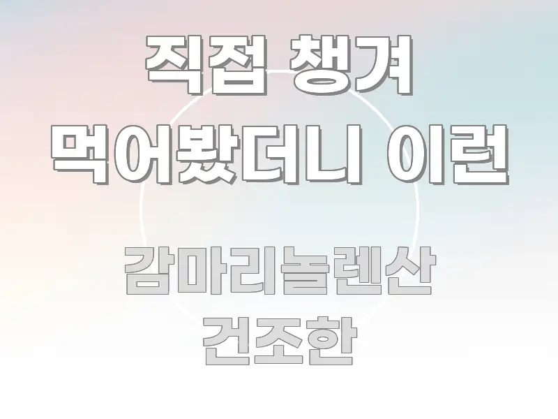 직접 챙겨 먹어봤더니 이런 한눈에 들어오는 글 소개 썸네일 이미지 - 내용 요약을 위한 이미지