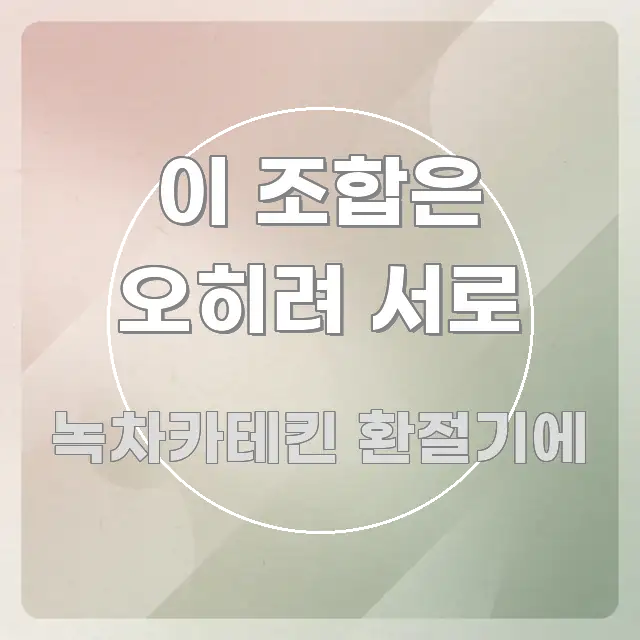 이 조합은 오히려 서로 핵심 요약 이 조합은 오히려 서로 실용적으로 정리한 텍스트 중심 디자인 표지 - 내용 요약을 위한 이미지