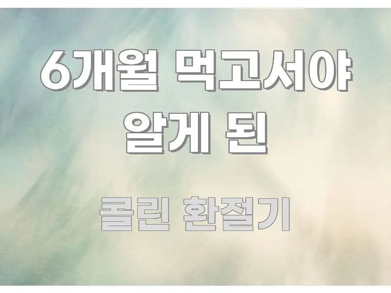 6개월 먹고서야 알게 된 핵심 요약 6개월 먹고서야 알게 된 중요 내용만 뽑은 타이포그래피 블로그 표지