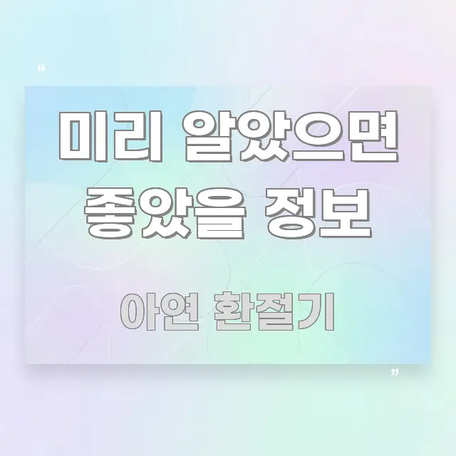 미리 알았으면 좋았을 정보 주요 포인트를 요약한 카드뉴스 스타일 이미지 - 활용 예시 이미지