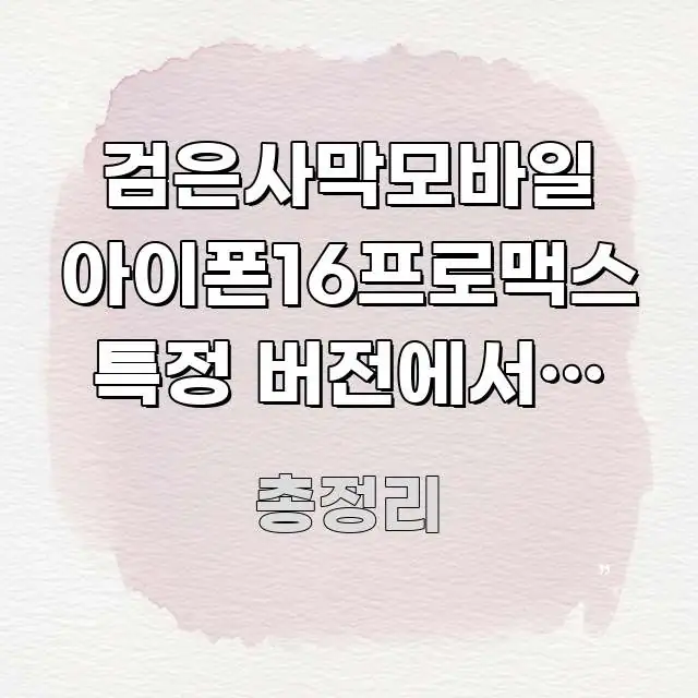 검은사막모바일 아이폰16프로맥스 특정 버전에서만 안 실용적으로 정리한 핵심 정보 비주얼