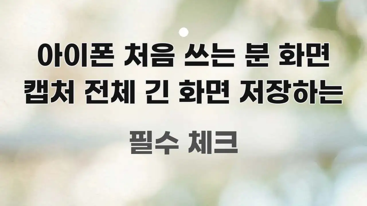 아이폰 처음 쓰는 분 화면 캡처 전체 긴 화면 저장하는 흥미롭게 구성한 스마트 정보 카드