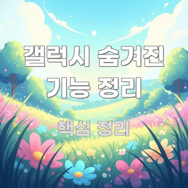 갤럭시 숨겨진 기능 정리 효율적으로 구성된 심플 타이포그래피 표지 - 설명을 돕는 이미지