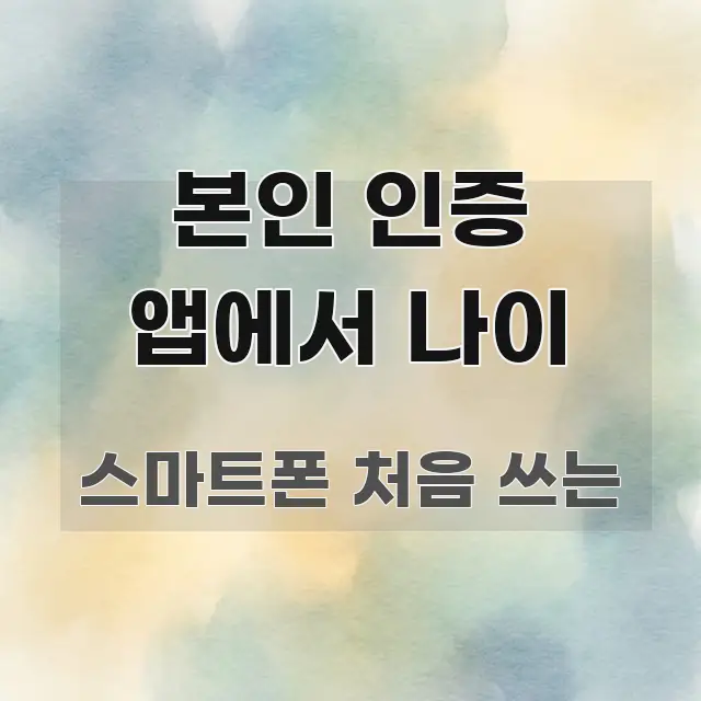 본인 인증 앱에서 나이 꼼꼼하게 정리된 읽기 좋은 정보 카드