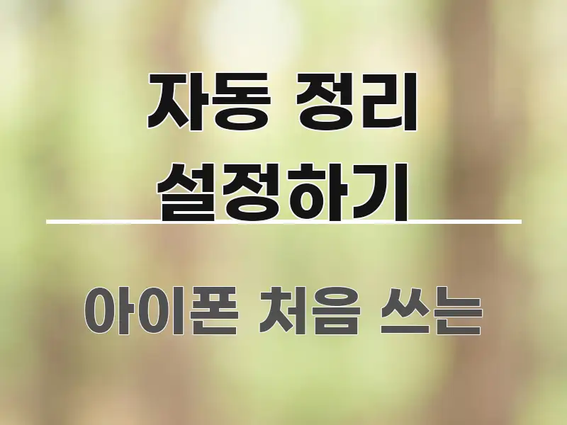 자동 정리 설정하기 전문가가 선별한 깔끔한 인포그래픽 표지 - 설명을 돕는 이미지