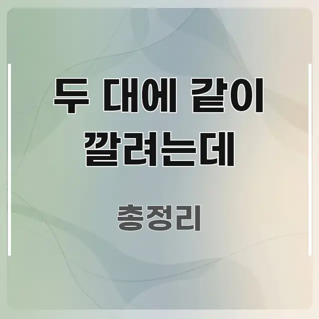두 대에 같이 깔려는데 구조적으로 정리된 정보 요약 포스터 - 설명을 돕는 이미지