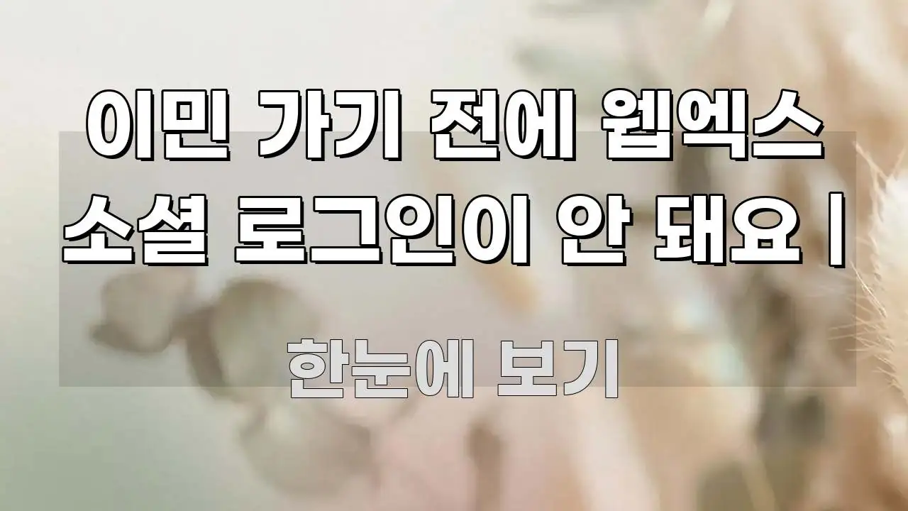 이민 가기 전에 웹엑스 소셜 로그인이 안 돼요 | 흥미롭게 구성한 콘텐츠 요약 표지 이미지 - 독자 이해를 위한 이미지