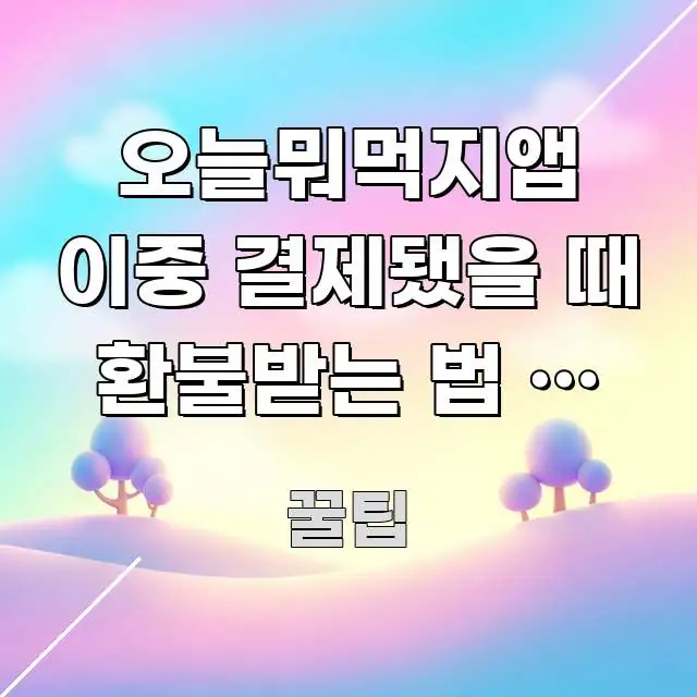 오늘뭐먹지앱 이중 결제됐을 때 환불받는 법 | 아직도 깔끔하게 정리된 정보 요약 포스터 - 본문 내용과 연관된 이미지