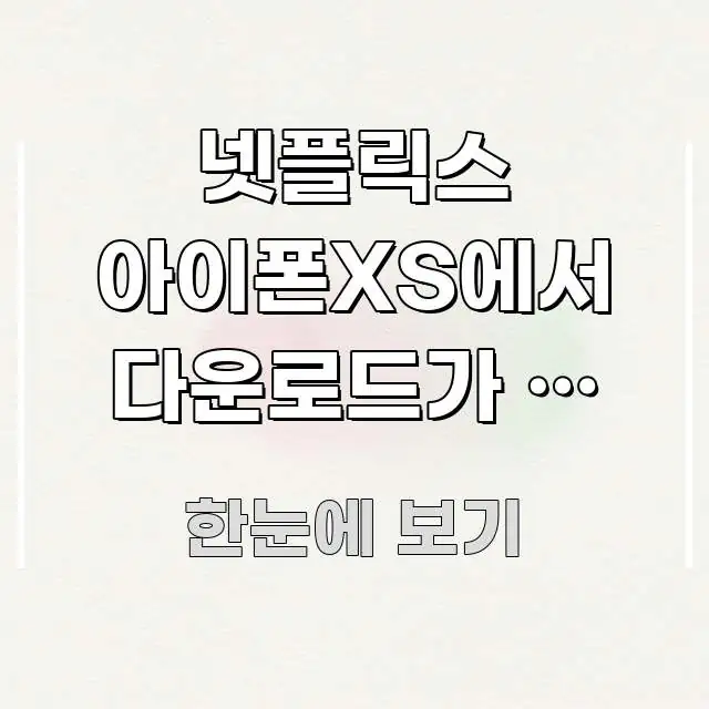 넷플릭스 아이폰XS에서 다운로드가 안 돼요 | 2가지만 핵심 정보를 압축한 핵심 키워드 시각화 이미지 - 내용 요약을 위한 이미지