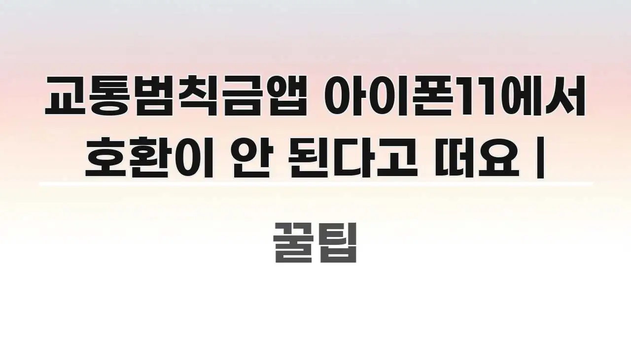 교통범칙금앱 아이폰11에서 호환이 안 된다고 떠요 | 쉽게 따라할 수 있는 스마트 정보 카드 - 가독성을 높이는 이미지