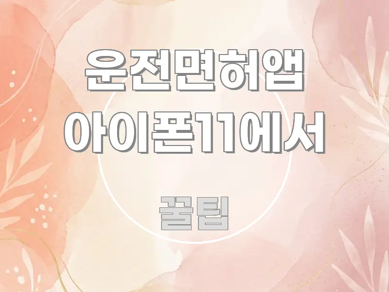 운전면허앱 아이폰11에서 핵심만 담은 핵심 정리 썸네일 이미지