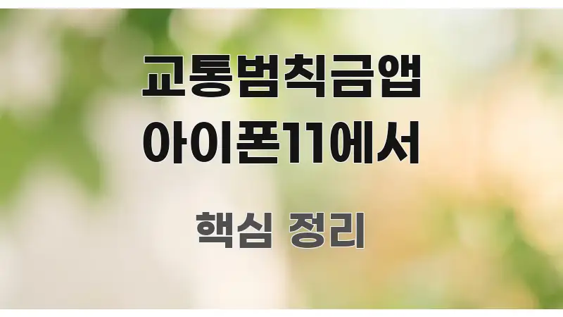 교통범칙금앱 아이폰11에서 중요 내용만 뽑은 블로그 대표 이미지 - 글 흐름을 돕는 시각 자료