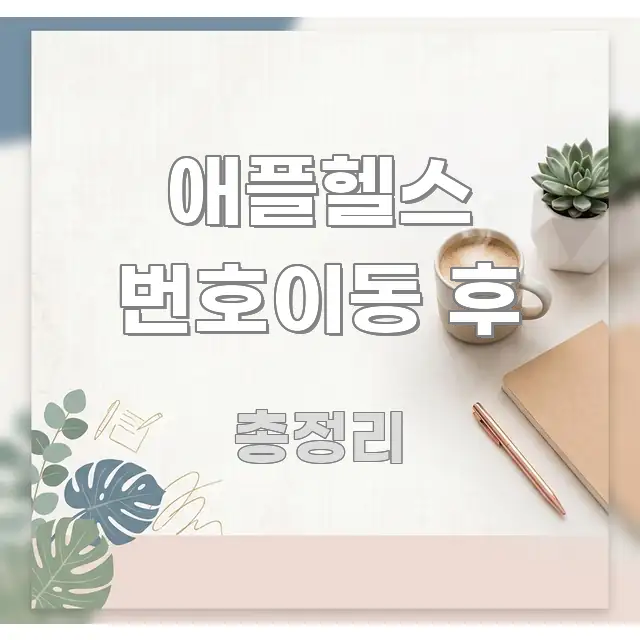 애플헬스 번호이동 후 이해하기 쉬운 타이포그래피 블로그 표지 - 내용 요약을 위한 이미지