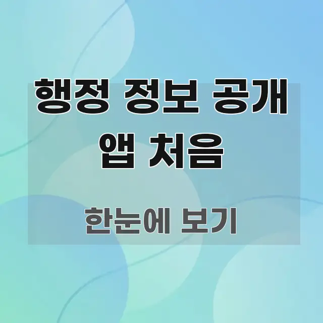 행정 정보 공개 앱 처음 스마트하게 정리된 핵심 정리 썸네일 이미지