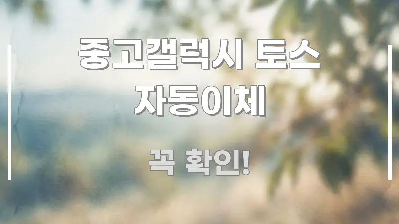 중고갤럭시 토스 자동이체 전문가가 선별한 정보 요약 포스터 - 참고용 이미지