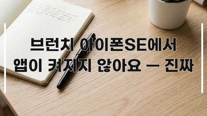 브런치 아이폰SE에서 앱이 켜지지 않아요 — 진짜 실생활에 도움되는 블로그용 카드뉴스 썸네일