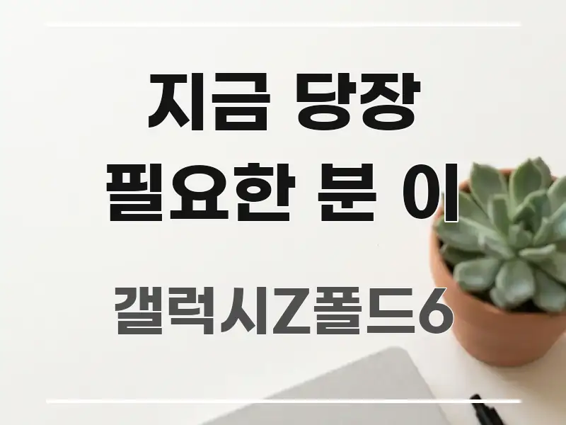 지금 당장 필요한 분 이 핵심 정보를 압축한 블로그 대표 이미지 - 참고용 이미지