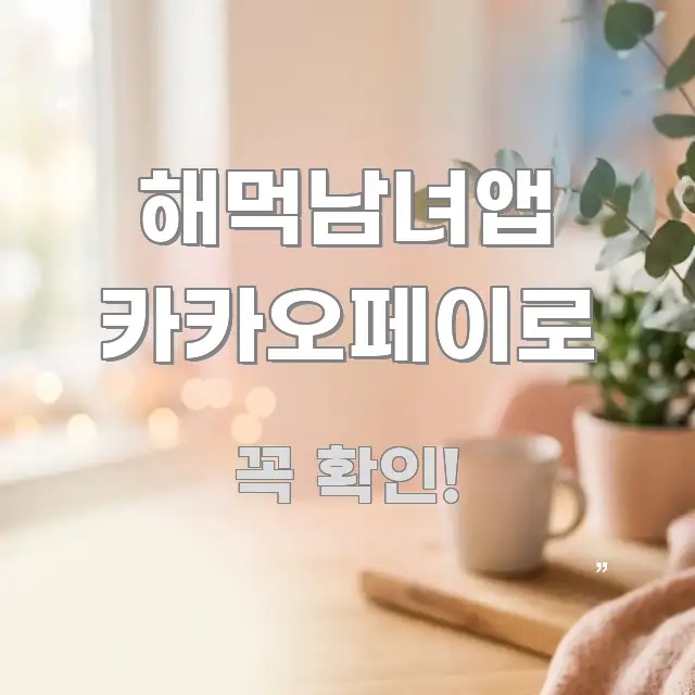 해먹남녀앱 카카오페이로 꼼꼼하게 정리된 스마트 정보 카드 - 글 흐름을 돕는 시각 자료