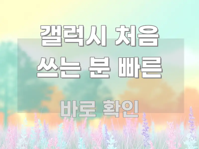 갤럭시 처음 쓰는 분 빠른 독자를 위해 선별한 정보 요약 인포그래픽 이미지 - 참고용 이미지