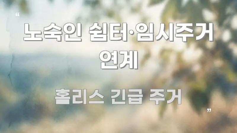 노숙인 쉼터·임시주거 연계 쉽게 따라할 수 있는 모던 카드뉴스 디자인 - 활용 예시 이미지