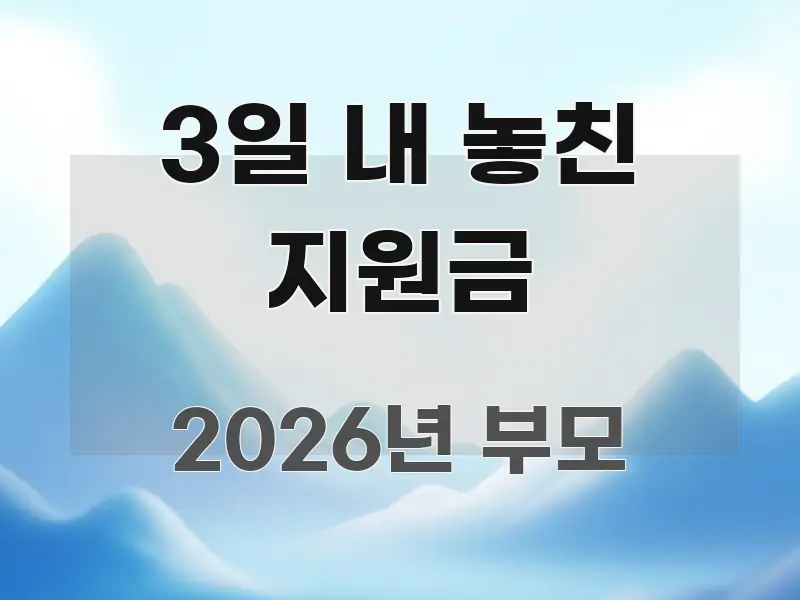 3일 내 놓친 지원금 꼭 알아야 할 정보를 담은 가독성 높은 정보 이미지 - 내용 요약을 위한 이미지