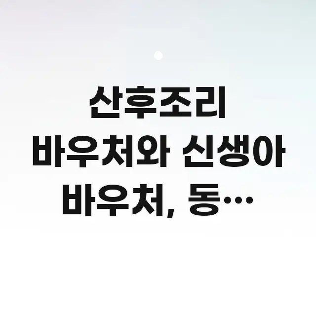 산후조리 바우처와 신생아 바우처, 동시 사용 가능할까? 신뢰할 수 있는 정보를 담은 핵심 요약 디자인 카드 - 글 흐름을 돕는 시각 자료