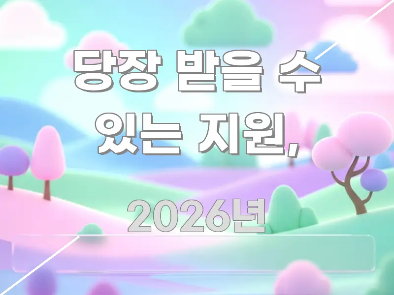 당장 받을 수 있는 지원, 핵심 요약 당장 받을 수 있는 지원, 간결하고 명료한 정보 요약 포스터 - 독자 이해를 위한 이미지