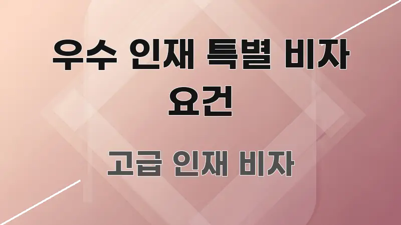 우수 인재 특별 비자 요건 가독성 높게 정리한 모던 카드뉴스 디자인 - 독자 이해를 위한 이미지