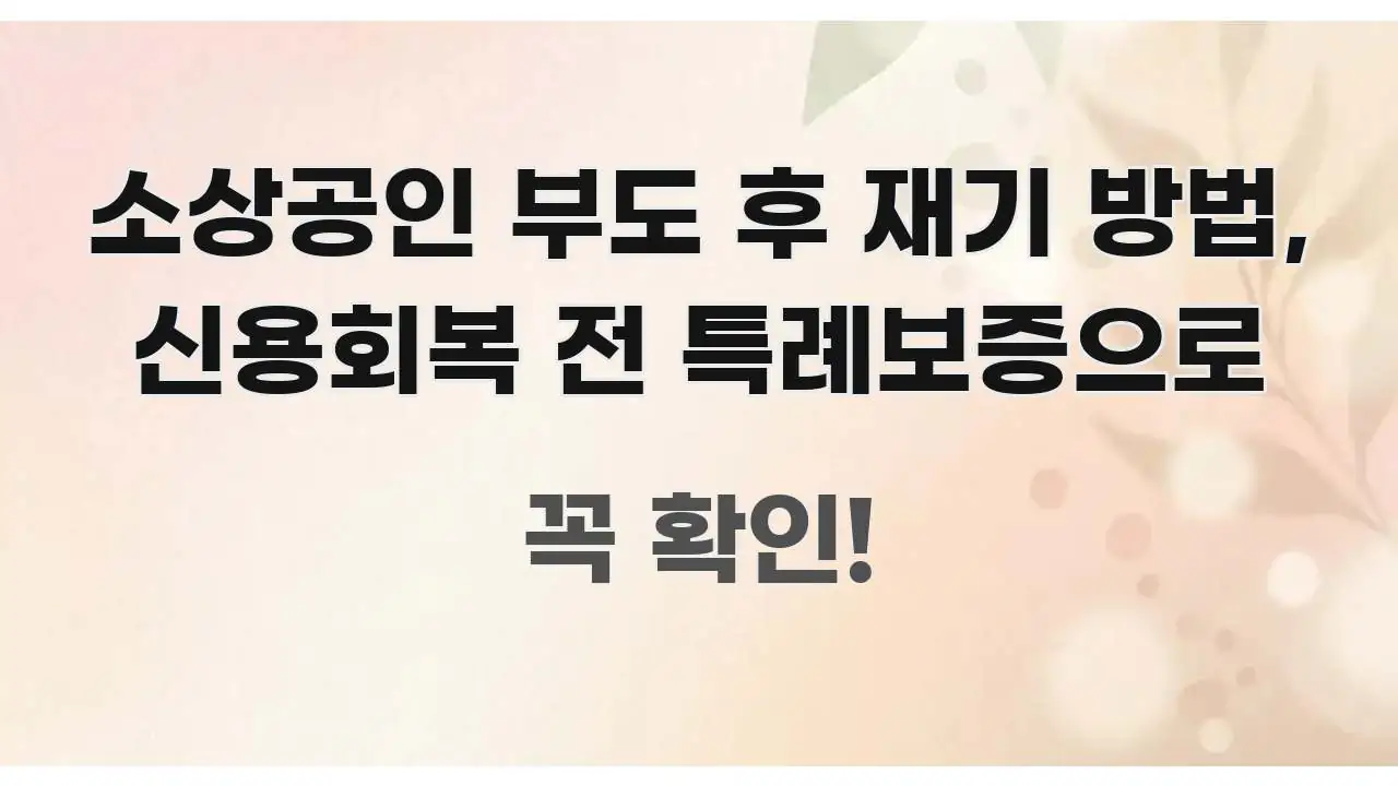 소상공인 부도 후 재기 방법, 신용회복 전 특례보증으로 핵심 정보 중심의 정보 요약 포스터 - 활용 예시 이미지
