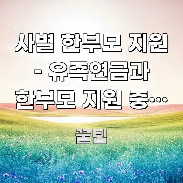 사별 한부모 지원 – 유족연금과 한부모 지원 중복 방법 쉽게 읽히는 블로그 섹션 구분 이미지 - 글 흐름을 돕는 시각 자료