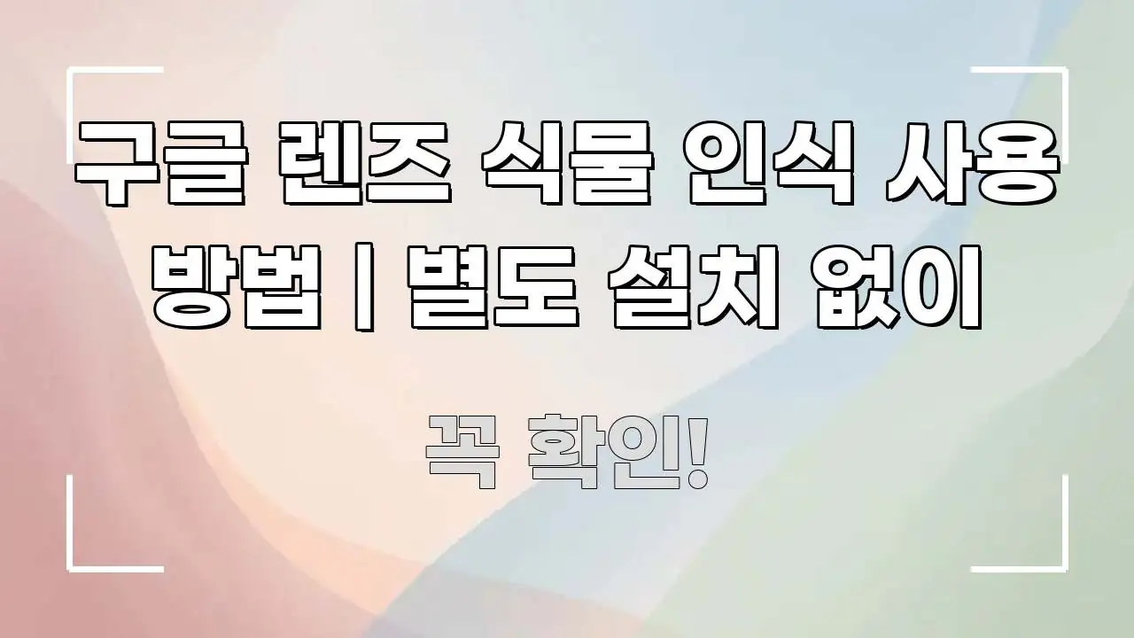 구글 렌즈 식물 인식 사용 방법 | 별도 설치 없이 꼼꼼하게 정리된 읽기 좋은 정보 카드 - 독자 이해를 위한 이미지