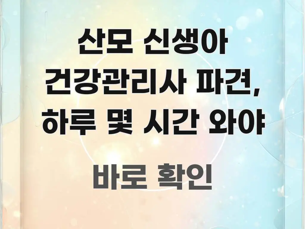 산모 신생아 건강관리사 파견, 하루 몇 시간 와야 실생활에 도움되는 핵심 요약 디자인 카드 - 활용 예시 이미지