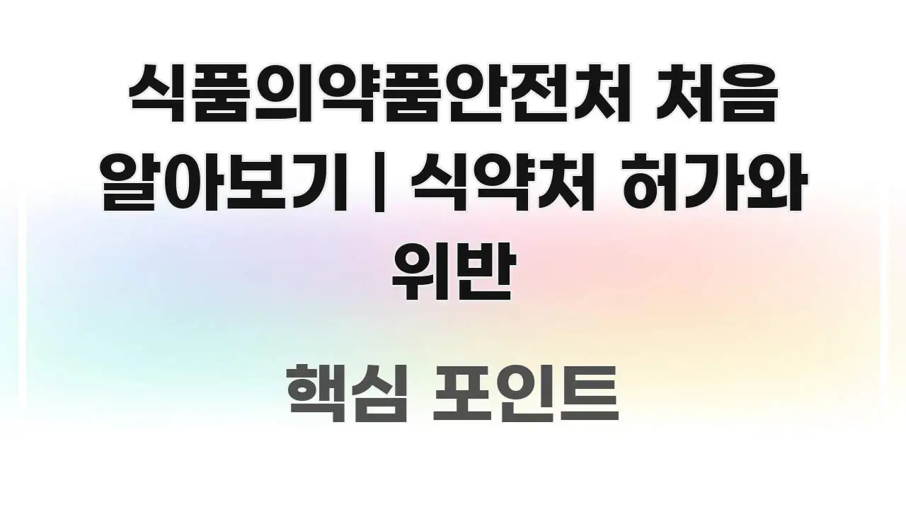 식품의약품안전처 처음 알아보기 | 식약처 허가와 위반 꼼꼼하게 정리된 정보 카드 디자인 이미지 - 가독성을 높이는 이미지