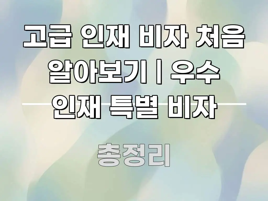 고급 인재 비자 처음 알아보기 | 우수 인재 특별 비자 주요 흐름을 설명한 블로그용 카드뉴스 썸네일 - 글 흐름을 돕는 시각 자료