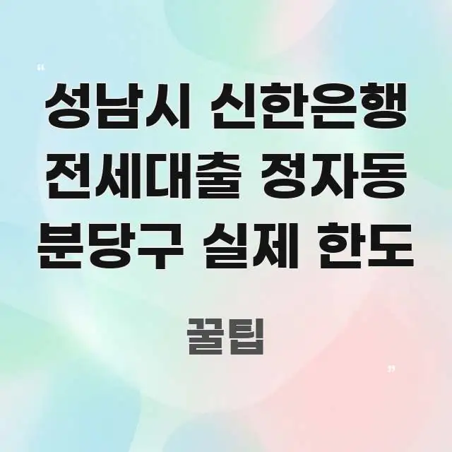 성남시 신한은행 전세대출 정자동 분당구 실제 한도 빠르게 이해할 수 있는 블로그 대표 이미지