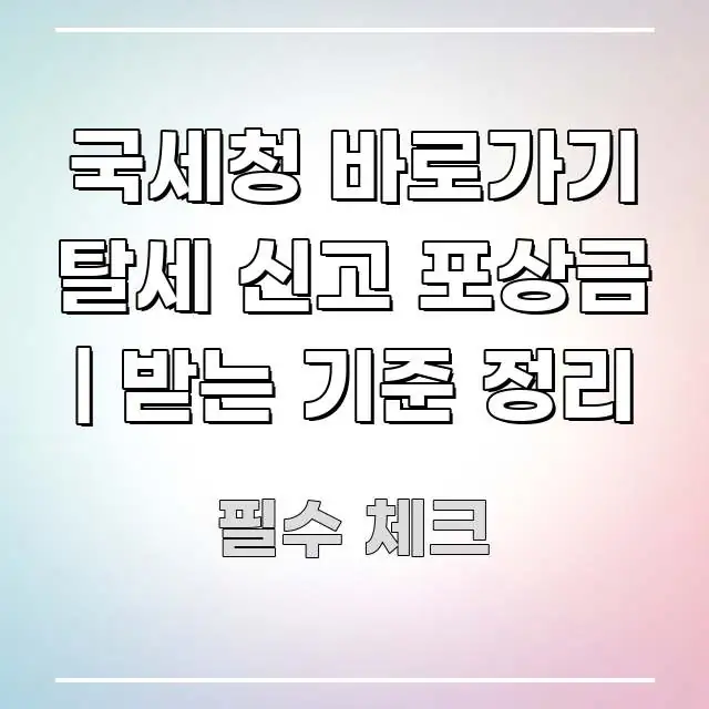국세청 바로가기 탈세 신고 포상금 | 받는 기준 정리 핵심 정보 중심의 핵심 요약 디자인 카드 - 내용 요약을 위한 이미지