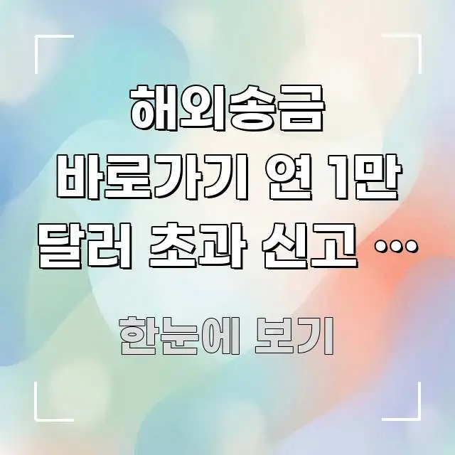 해외송금 바로가기 연 1만 달러 초과 신고 | 방법 바로 활용 가능한 블로그 헤더 이미지