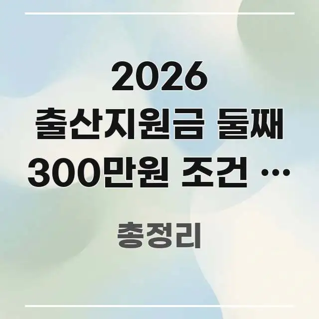 2026 출산지원금 둘째 300만원 조건 | 첫째 기준 독자를 위해 선별한 텍스트 포스터 이미지 - 내용 요약을 위한 이미지