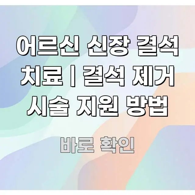 어르신 신장 결석 치료 | 결석 제거 시술 지원 방법 흥미롭게 구성한 블로그 섹션 구분 이미지