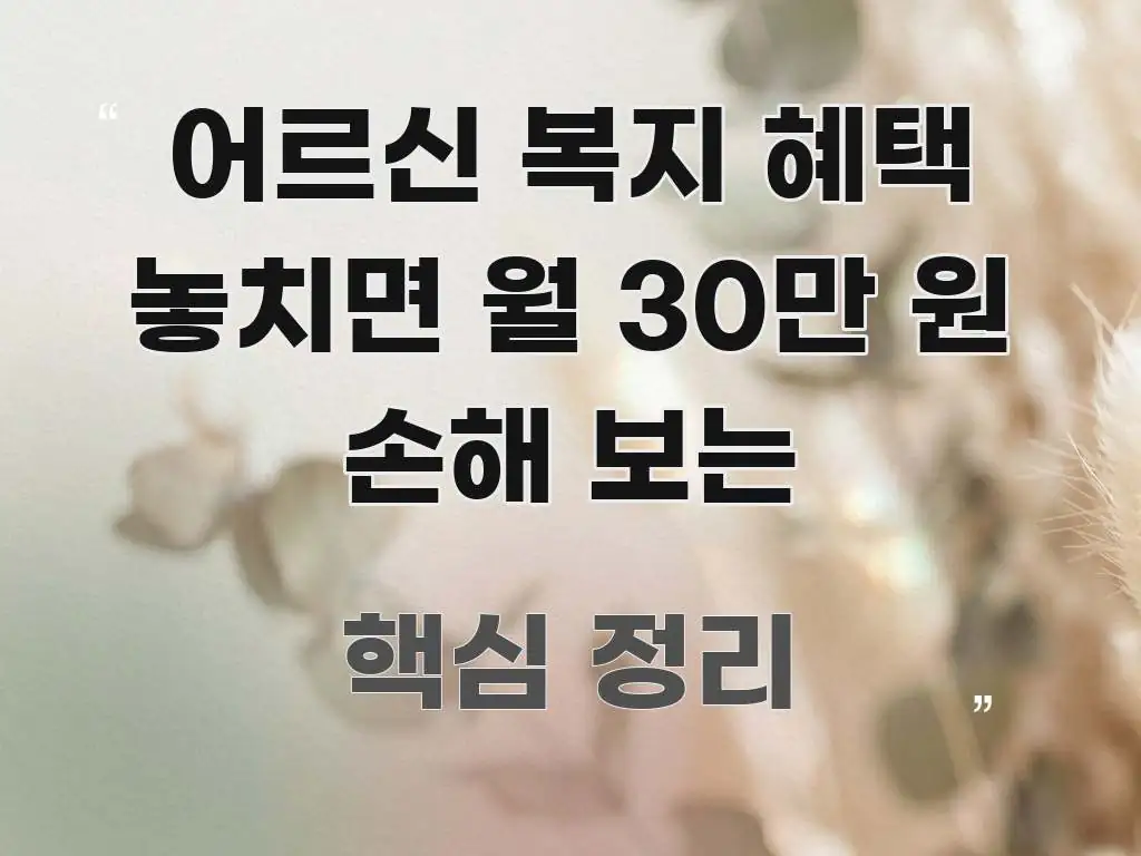어르신 복지 혜택 놓치면 월 30만 원 손해 보는 중요 내용만 뽑은 글 소개 썸네일 이미지 - 설명을 돕는 이미지